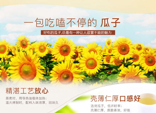 福先生焦糖 核桃 原味 五香瓜子1500g500g葵花籽可混搭炒货零食