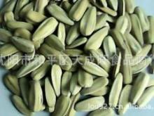 五香瓜子 传统工艺与品质保证的完美结合