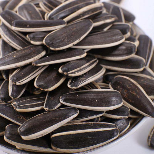 生瓜子与葵花籽 五香、焦糖、原味的多样风味选择