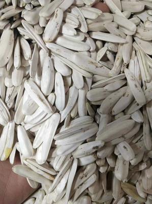 牙签瓜子，品味生活的隽永滋味